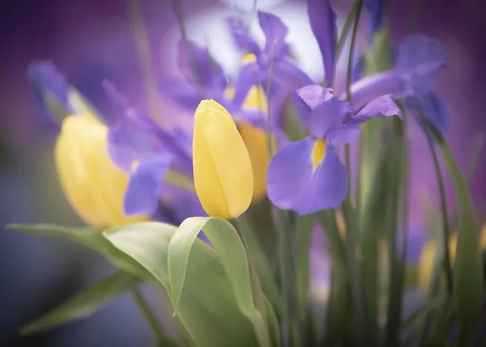 Santa Clara By Oldtown * San Sebastián